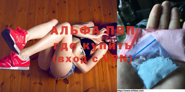 стаф Новокубанск
