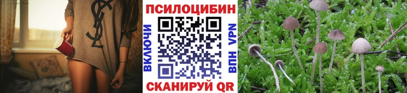 Галлюциногенные грибы MAGIC MUSHROOMS  Рошаль 